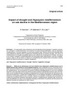 Báo cáo lâm nghiệp: 