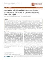 Báo cáo khoa học: 