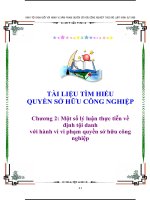 TÀI LIỆU TÌM HIỂU QUYỀN SỞ HỮU CÔNG NGHIỆP: Chương 2: Một số lý luận thực tiễn về định tội danh với hành vi vi phạm quyền sở hữu công nghiệp ppt