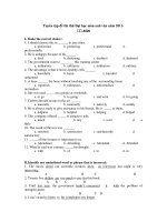 Tuyển tập đề thi thử Đại học môn anh văn năm 2011 - A529 docx