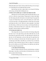 Tài liệu tổng hợp những chính sách bảo vệ người tiêu dùng của Nhà nước trong thời kỳ quá độ phần 3 docx