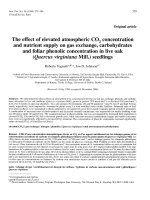 Báo cáo toán học: 