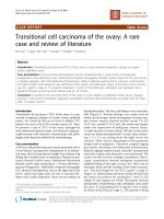 Báo cáo khoa học: 