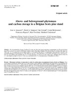 Báo cáo khoa học: 