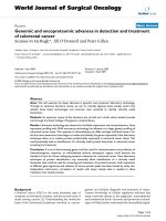 Báo cáo khoa học: 