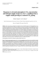 Báo cáo toán học: 