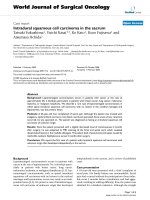 Báo cáo khoa học: 