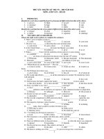 THỬ SỨC TRƯỚC KỲ THI TN – ĐH NĂM 2011 MÔN: ANH VĂN - ĐỀ 013 pps