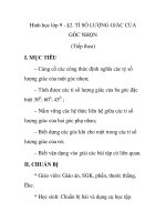 Hình học lớp 9 - §2. TỈ SỐ LƯỢNG GIÁC CỦA GÓC NHỌN (Tiếp theo) pps