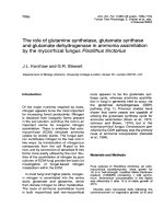 Báo cáo lâm nghiệp: 