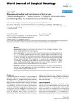 Báo cáo khoa học: 