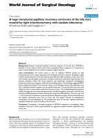 Báo cáo khoa học: 