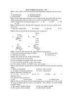 Đề ôn thi HKII môn hóa học - số 6 pot