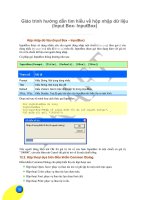 Giáo trình hướng dẫn tìm hiểu về hộp nhập dữ liệu (Input Box- InputBox) phần 1 ppsx