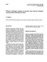 Báo cáo lâm nghiệp: 