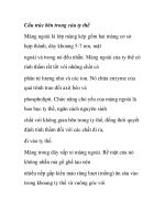 Cấu trúc bên trong của ty thể pdf