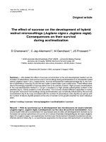 Báo cáo khoa học: 