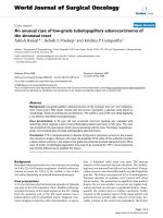 Báo cáo khoa học: 