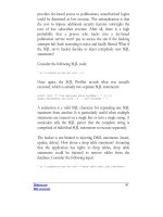 Advanced SQL Database Programmer phần 9 doc