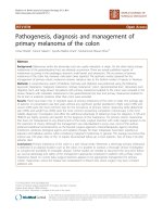 báo cáo khoa học: 