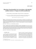 Báo cáo toán học: 