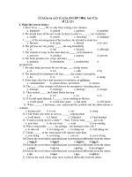 Kiểm tra cuối kỳ năm 2010-2011 Môn: Anh Văn - Mã 231 docx