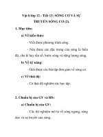 Vật lí lớp 12 - Tiết 13: SÓNG CƠ VÀ SỰ TRUYỀN SÓNG CƠ (2). pot