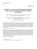 Báo cáo toán học: 