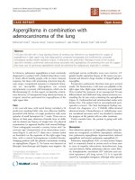 báo cáo khoa học: 