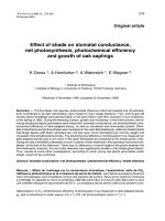 Báo cáo lâm nghiệp: 