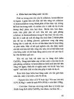 Kỹ thuật trồng rau, củ, cỏ làm thức ăn trong chăn nuôi part 8 docx