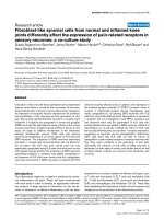 Fibroblast-like synovial cells from normal and inflamed knee joints differently affect the expression of pain-related receptors in sensory neurones: a co-culture study ppsx