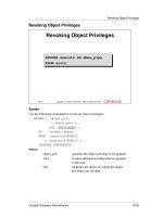 Oracle 8 Database Administration volume 2 instruction guide phần 8 pot