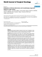 Báo cáo khoa học: 