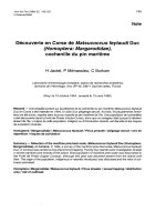 Báo cáo lâm nghiệp: 