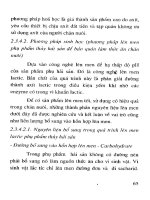 Kỹ thuật chế biến phụ phẩm nông nghiệp làm thức ăn gia súc part 8 ppt