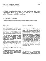 Báo cáo lâm nghiệp: 