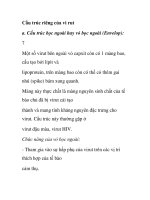 Cấu trúc riêng của vi rut docx