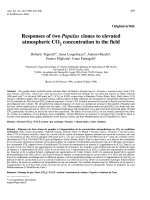 Báo cáo toán học: 