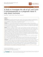 báo cáo khoa học: 