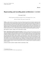 Báo cáo toán học: 