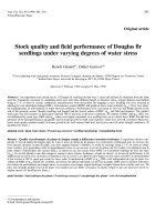 Báo cáo toán học: 