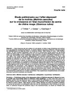 Báo cáo khoa học: 