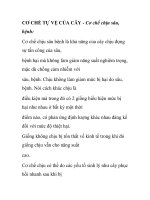 CƠ CHẾ TỰ VỆ CỦA CÂY docx