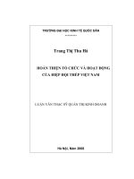 Hoàn thiện tổ chức và hoạt động của hiệp hội thép việt nam