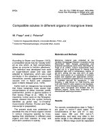 Báo cáo khoa học: 