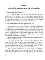 Kỹ thuật sản xuất giống và nuôi cá rô phi đạt tiêu chuẩn vệ sinh an toàn thực phẩm part 2 pps