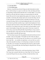 hoàn thiện công tác kế toán tập hợp chi phí sản xuất và tính giá thành sản phẩm tại công ty tnhh tân trang trong điều kiện áp dụng phần mềm kế toán