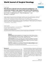 Báo cáo khoa học: 