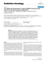 Báo cáo khoa học: 